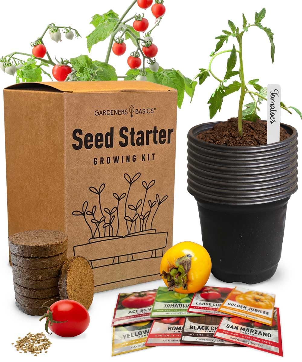 Amazon.com : Tomato Growing Kit – Grow 8 Varieties of Delicious